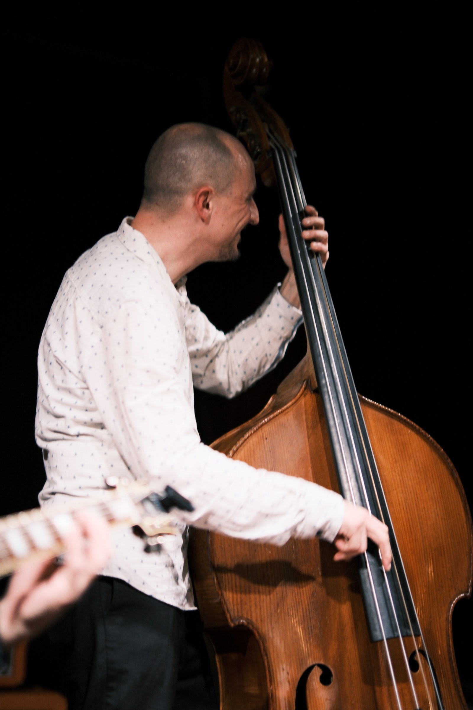 Jazz-Konzertfotografie von Zoran Cvetkovic, 2024